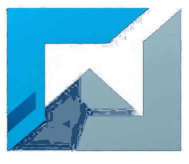 Immediate Apex France Logo